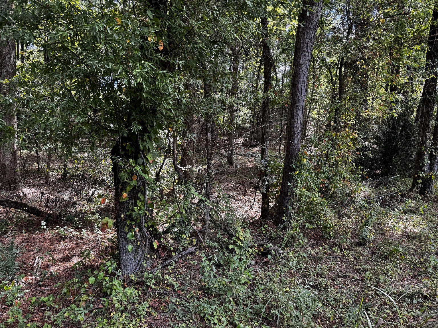 Calera Alabama residential lots