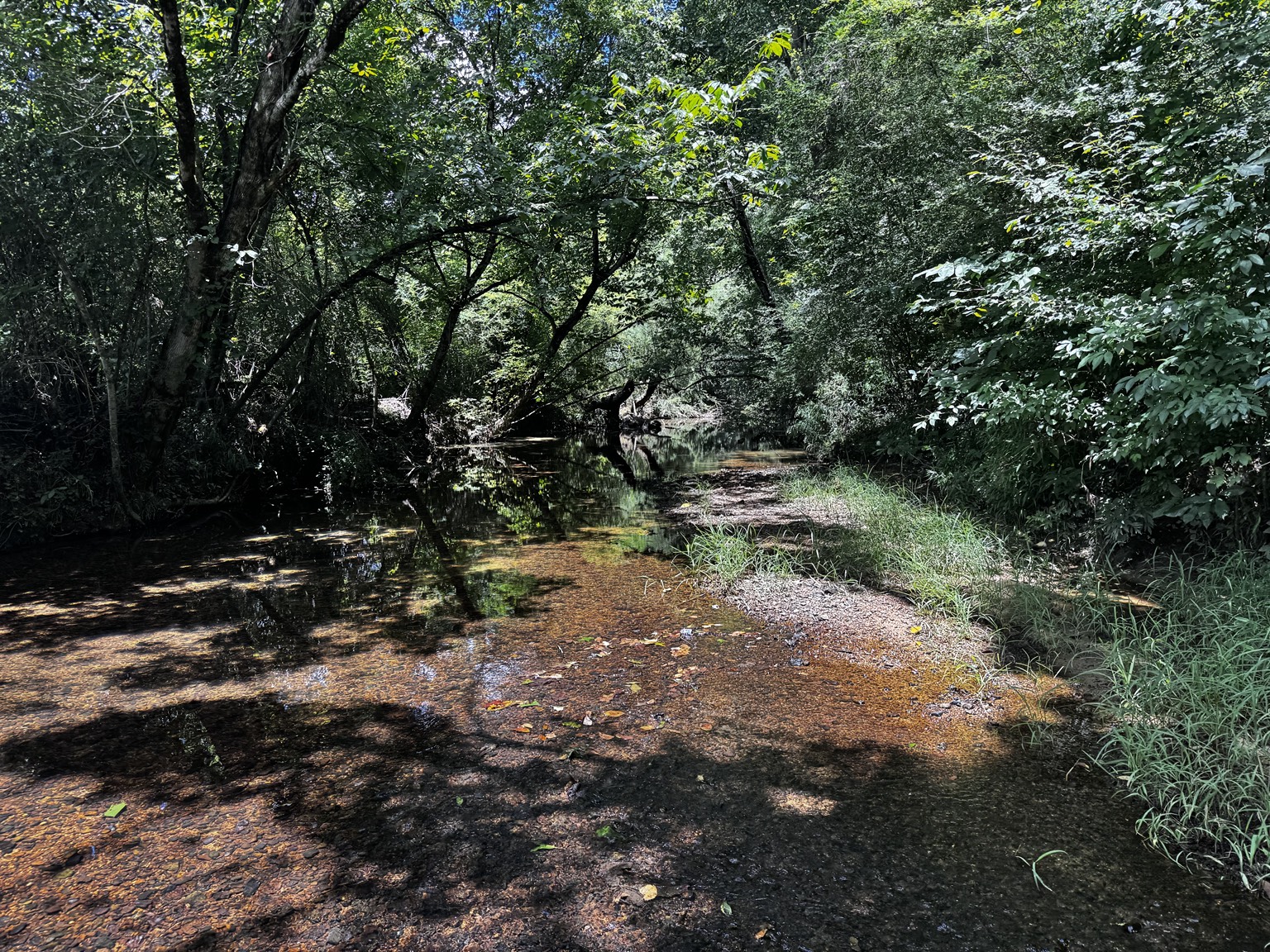 Creek on the 166 acre Westover property