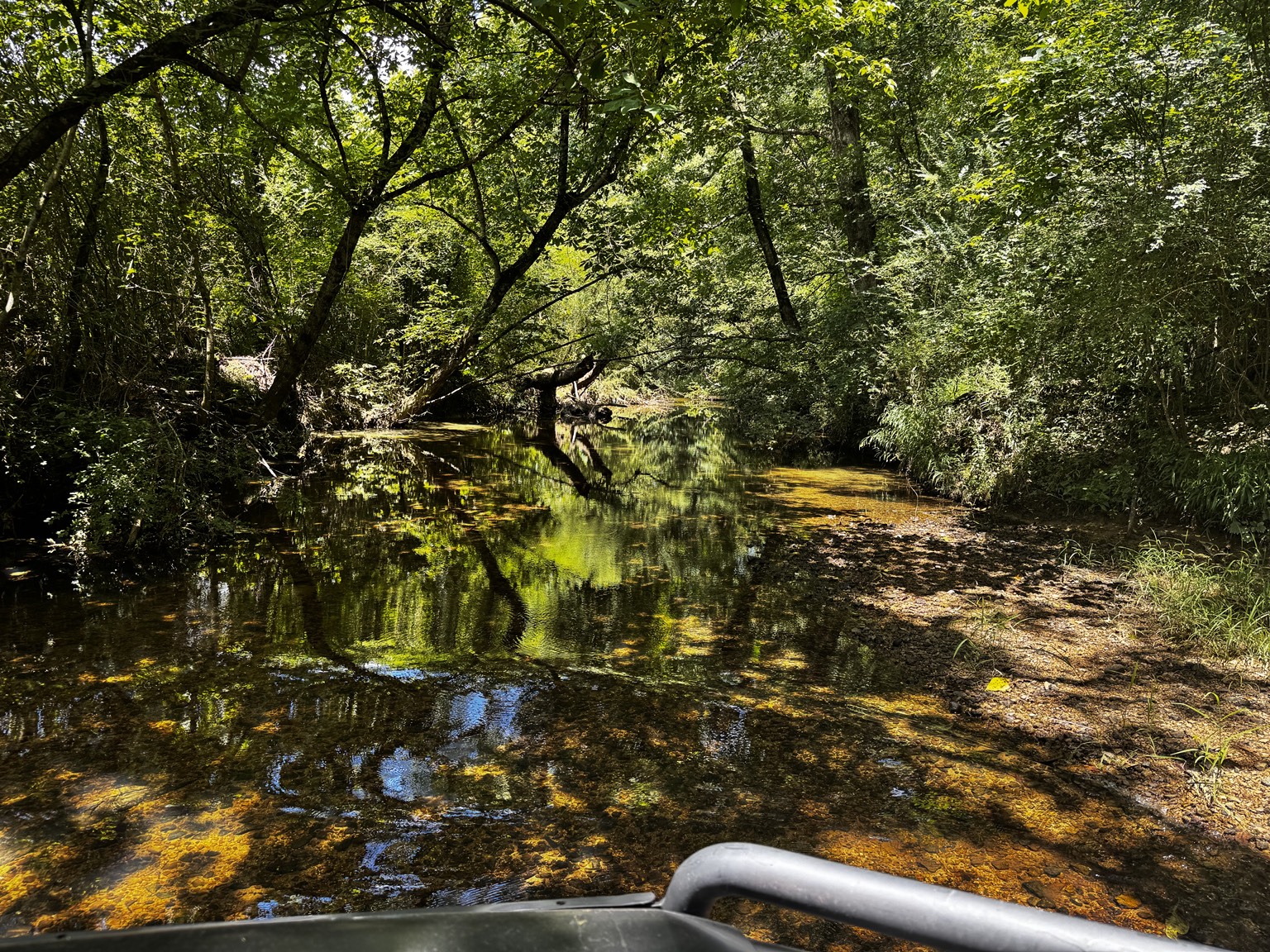Wooded creek on the 166 acre Westover property