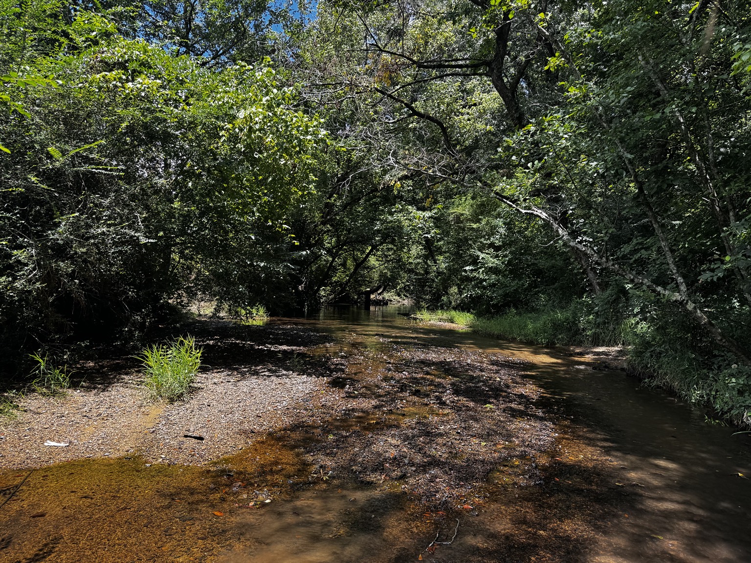 Creek and wooded area on the Westover property