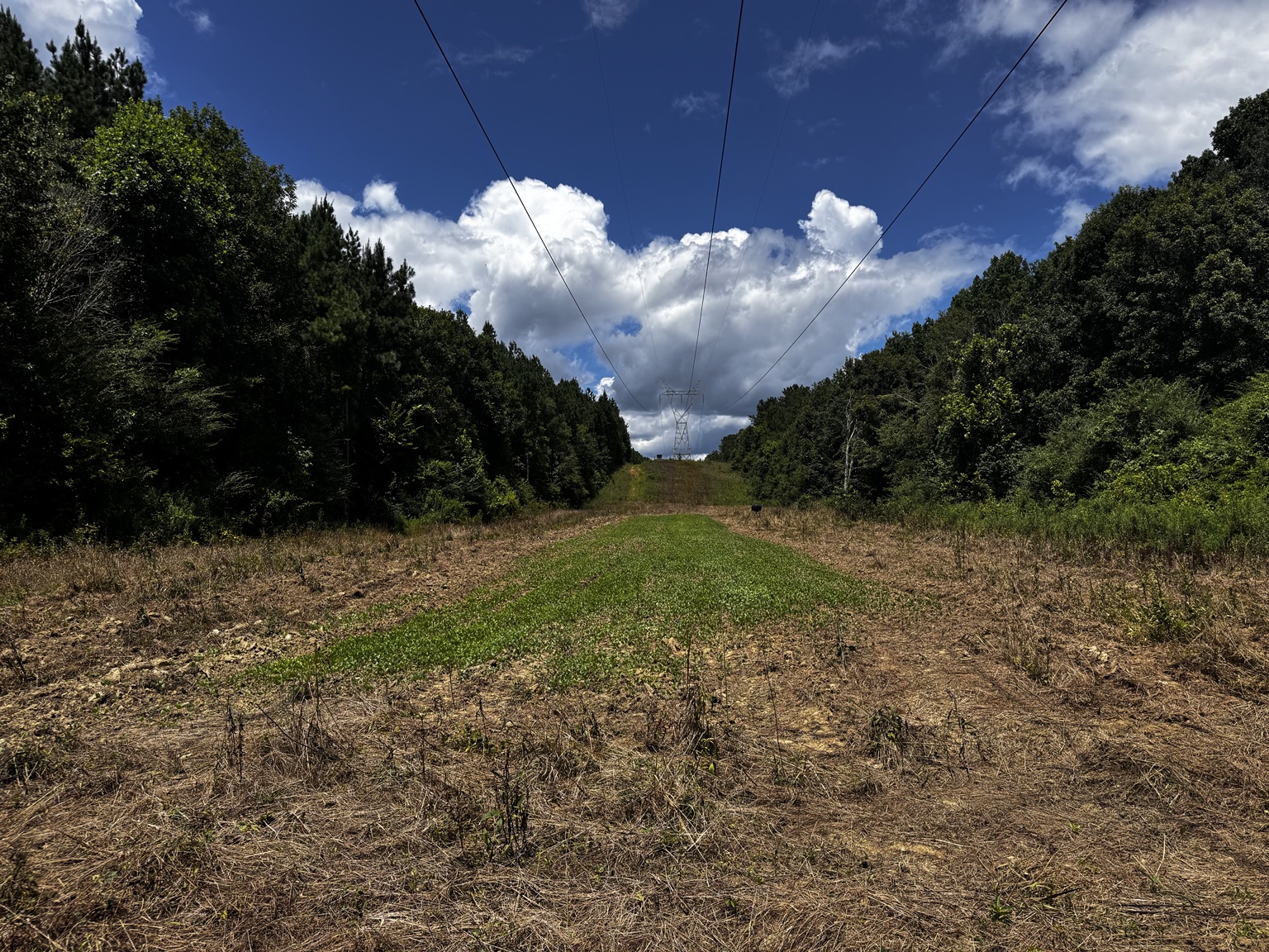 Open utility corridor on the 166 acre Westover property